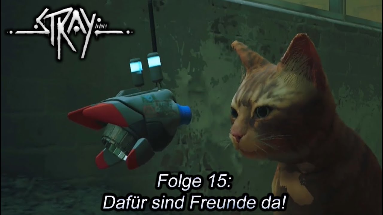 Heute werden die Rollen vertauscht! (Stray - Folge 15)