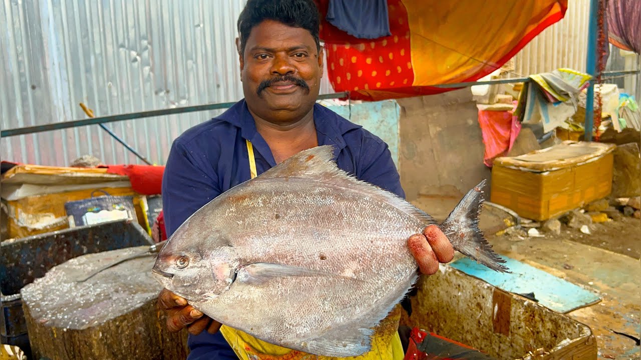 KASIMEDU 🔥SPEED SELVAM | POMFRET FISH 🐟 AMAZING CUTTING SKILLS | N M FISH CUTTING 🔪