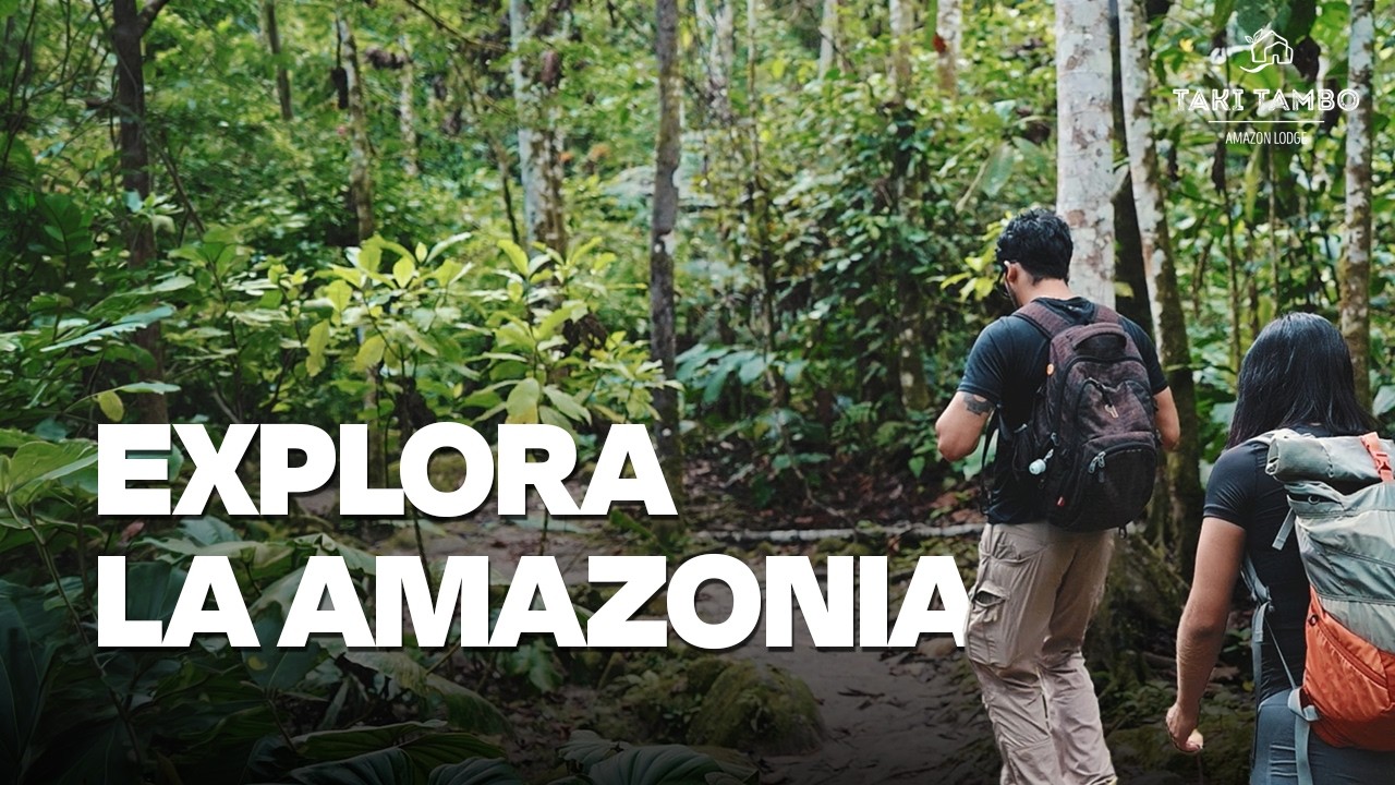 Qué hacer en Tarapoto | Cascadas, selva y aventura en San Martín