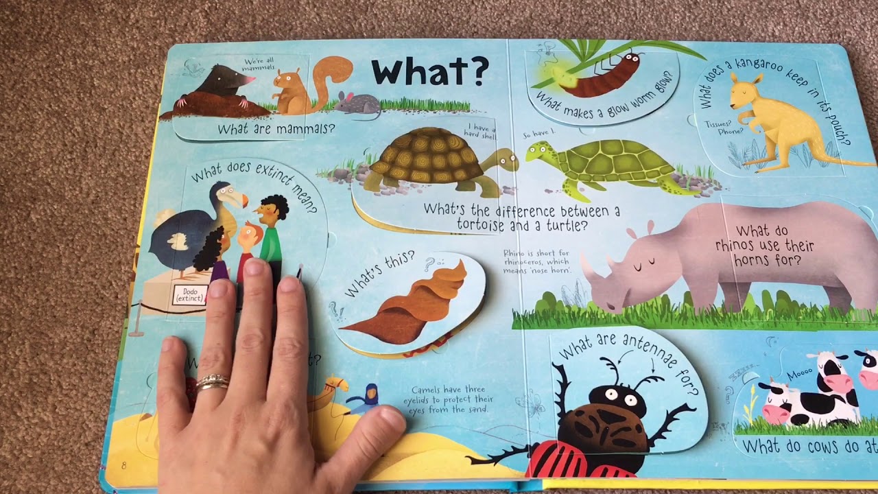 Usborne Questions and Answers about Animals (lift the flap)