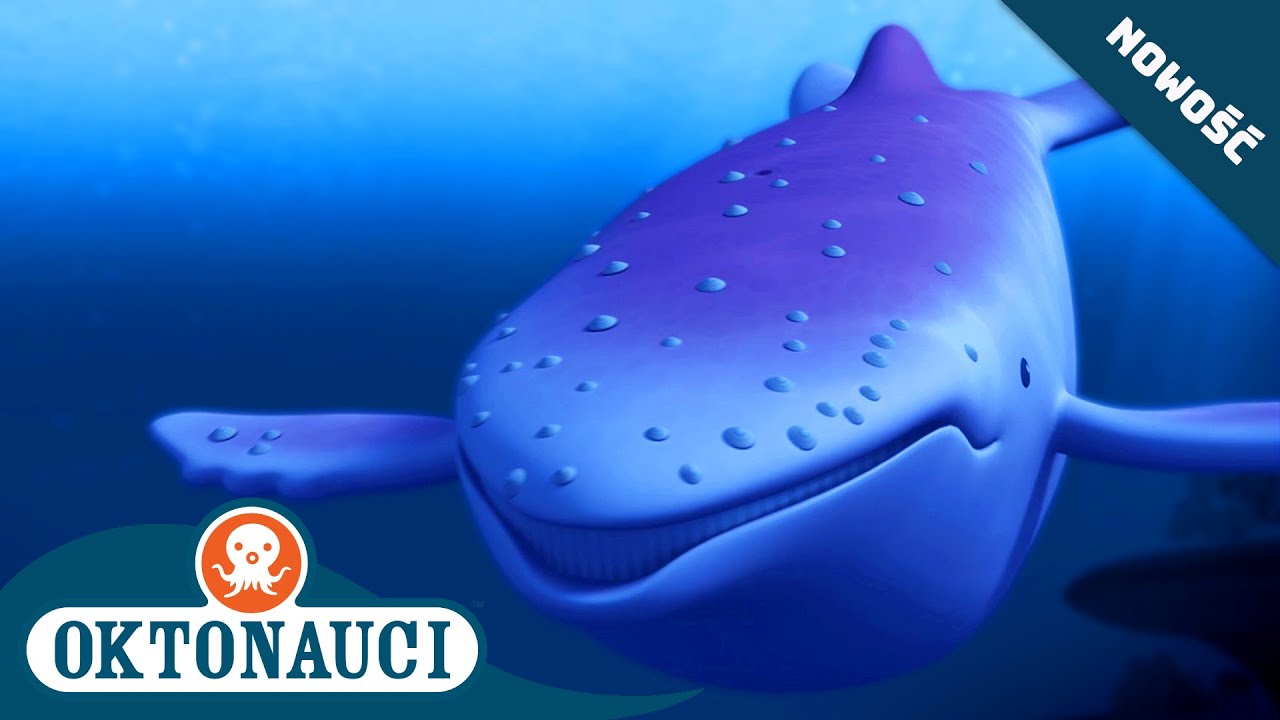 Oktonauci - i wieloryb albinos 🐋 | Cały odcinek 11 | Seria 1