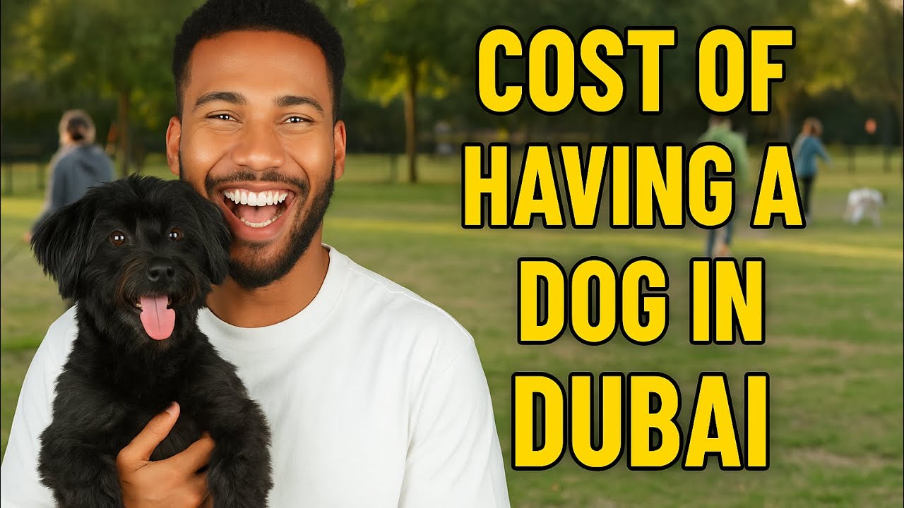 The REAL Cost of Owning a Dog in Dubai | DOs & DON&rsquo;Ts for Pet Owners 🐶🇦🇪