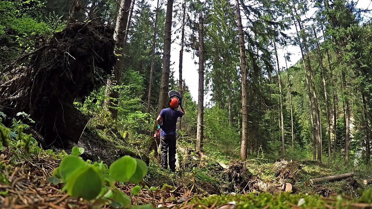 Due boscaioli - giornata di lavori pulizia nel bosco con mio padre - PeschoAnvi