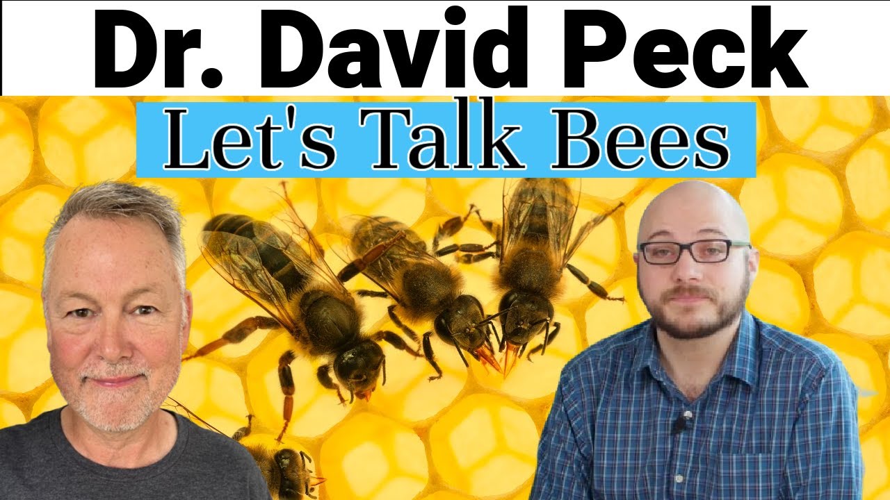 Beekeeping | Talking Bees With Dr. David Peck