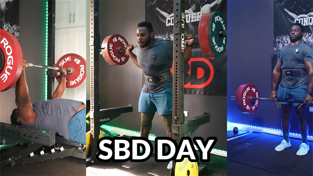 The Build S2 Day 6 - Full SBD Training | Squat is back??