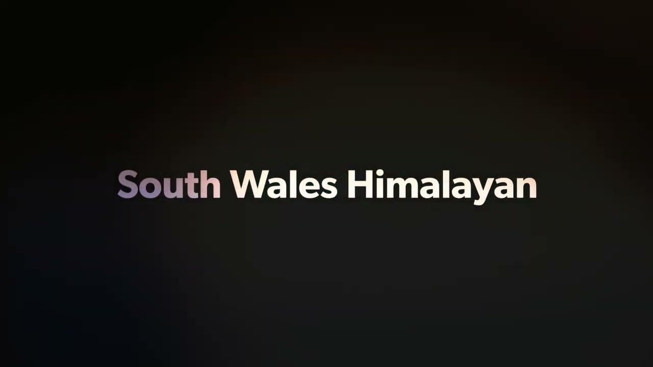 Royal Enfield Himalayan Unclassified Road SS8081-03 Kenfig Pool Unclassified Road.