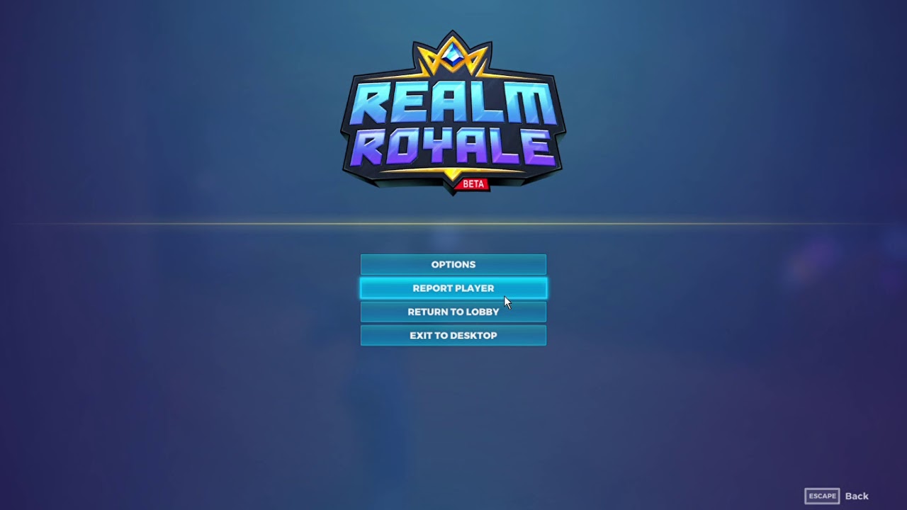 Proof of a Realm Royale Cheater