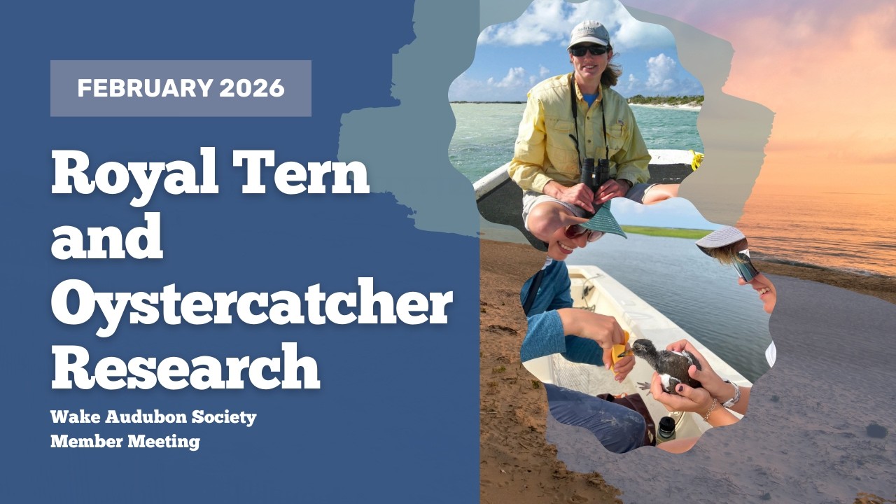 February 2026 Monthly Meeting