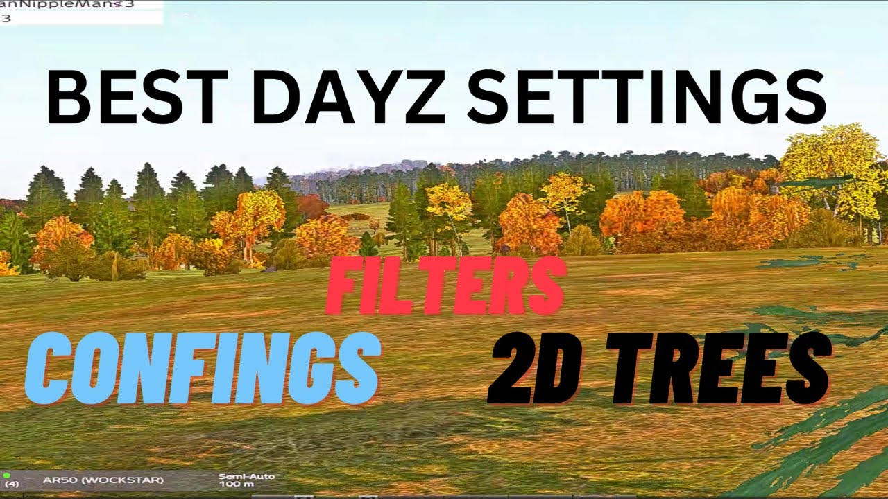 Best Dayz PvP Settings 