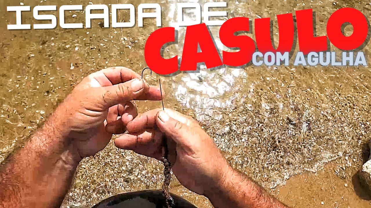 COMO FAZER ISCADA DE CASULO PARA A DOURADA [PASSO A PASSO]