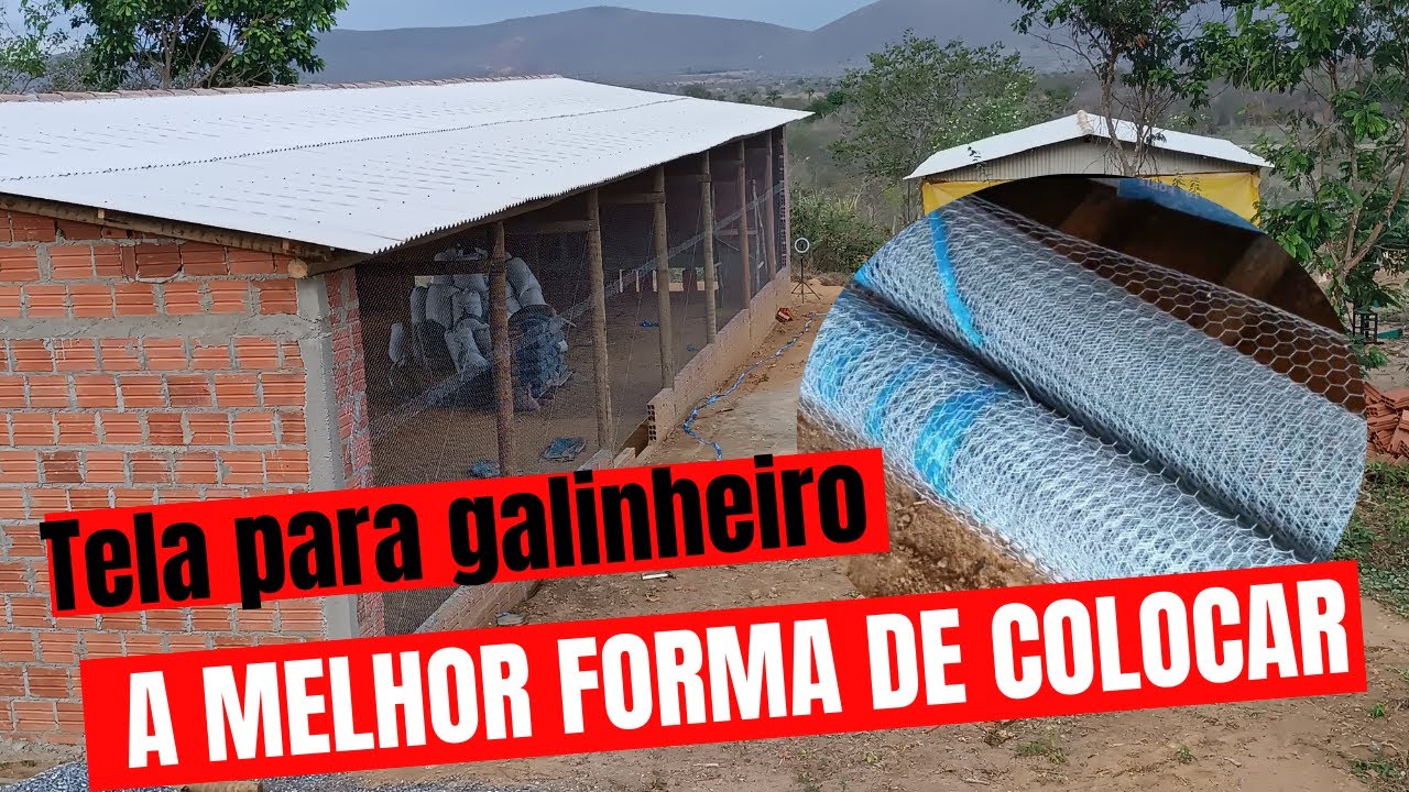 Dia de colocar a tela no galpão novo!  Qual tela usar para fazer galinheiro?