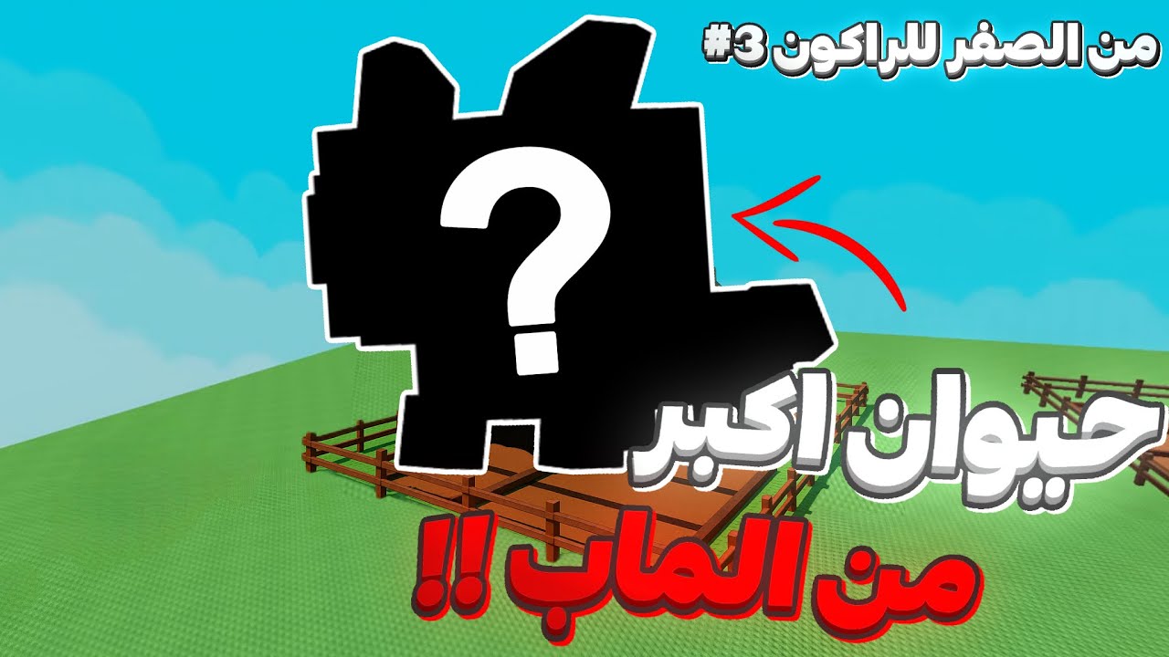 حاولت اجيب راكون من الصفر🤑 جبت حيوان اكبر من الماب !💀 #3 / grow a garden