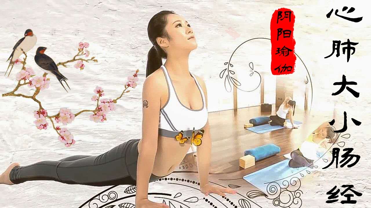 《印想瑜伽》第九集：  阴阳瑜伽 心肺和大小肠经