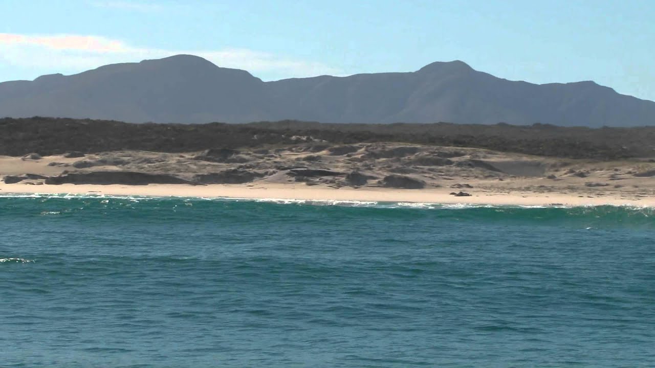 Saxon Lodge - a great base to watch Whales from in the Gansbaai area, close to Hermanus