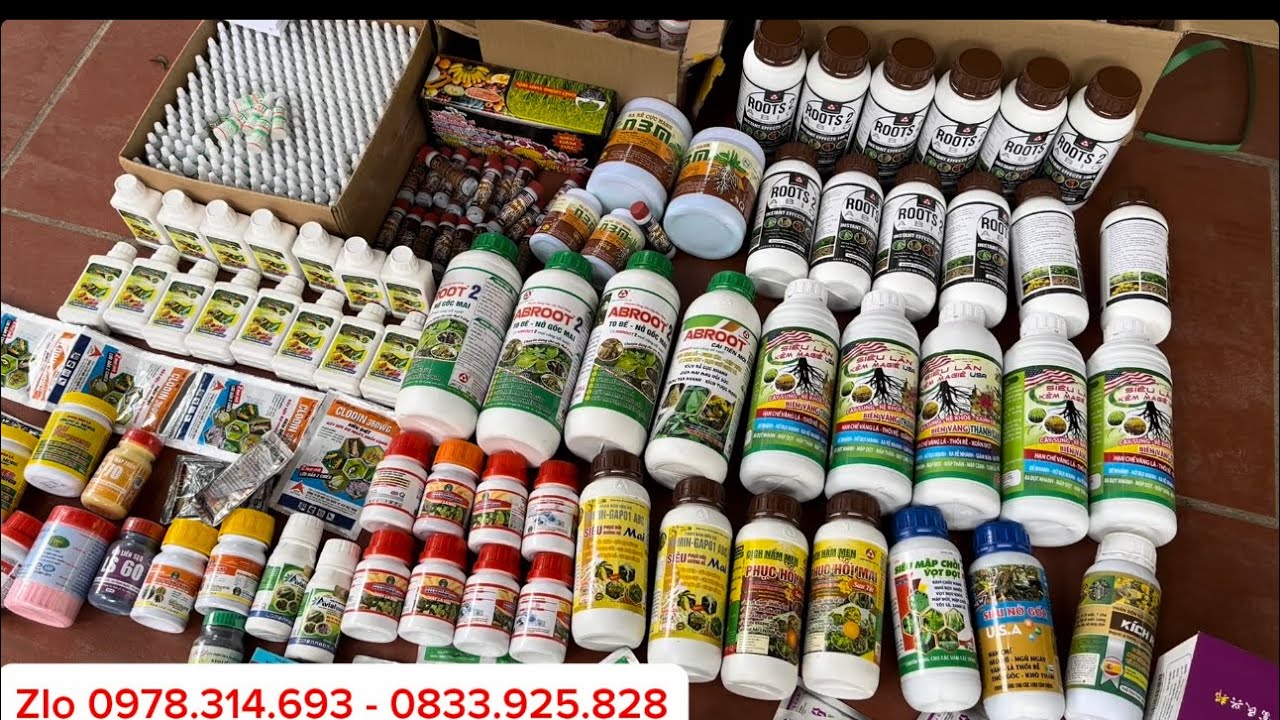 💥💥CHĂM CÂY SAU TẾT: ROOT2,KÍCH RỄ,PHỤC HỒI CÂY,LIỀN SẸO…lh 0978.314.693