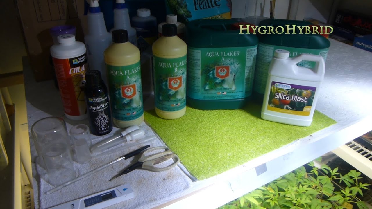 Site A RDWC Nutrient Recipe For Cannabis Success!