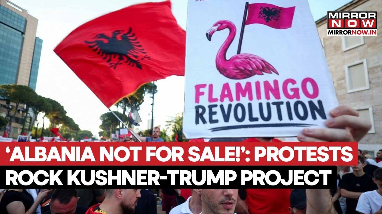 &ldquo;Flamingo Revolution&rdquo; Rocks Albania As Protesters Oppose Kushner&rsquo;s Mega Development | WATCH