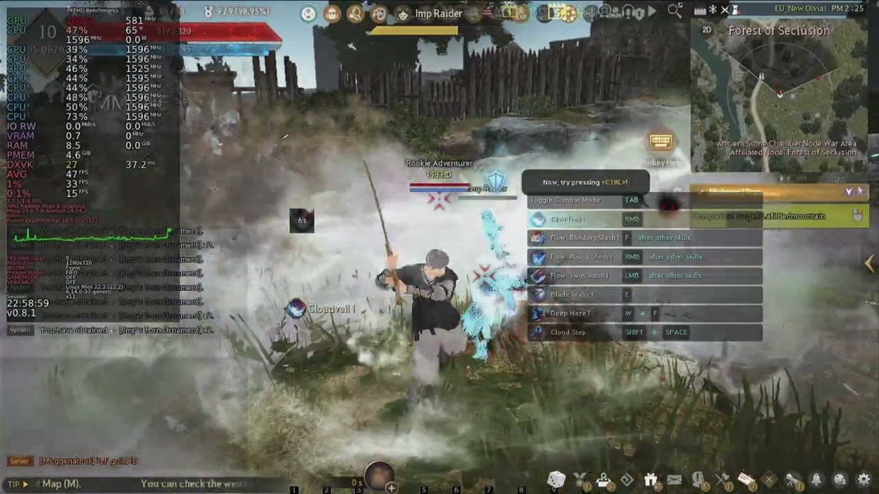 Black Desert Online low end laptop Linux 720p Ryzen 5 PRO 2500u Vega 8