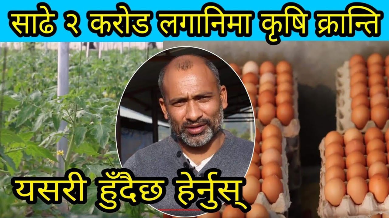 साढे २ करोडको लगानीमा पोखरामा यस्तो व्यवसाय गर्ने युवा । पैसा कमाउन चाहनेले हेर्नैपर्ने भिडियो