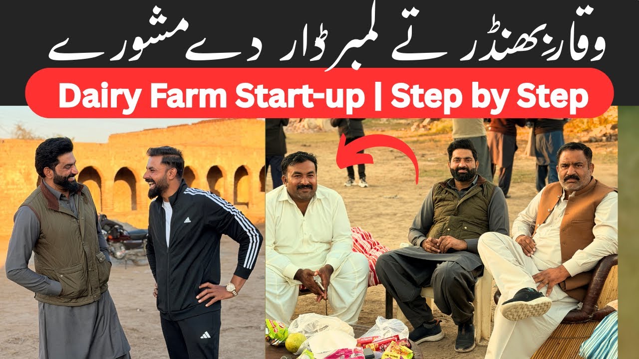 Waqar Bhinder te Lamberdar aaye | Dairy Farm Start-up | Step by Step | Nasir Dhillon 
