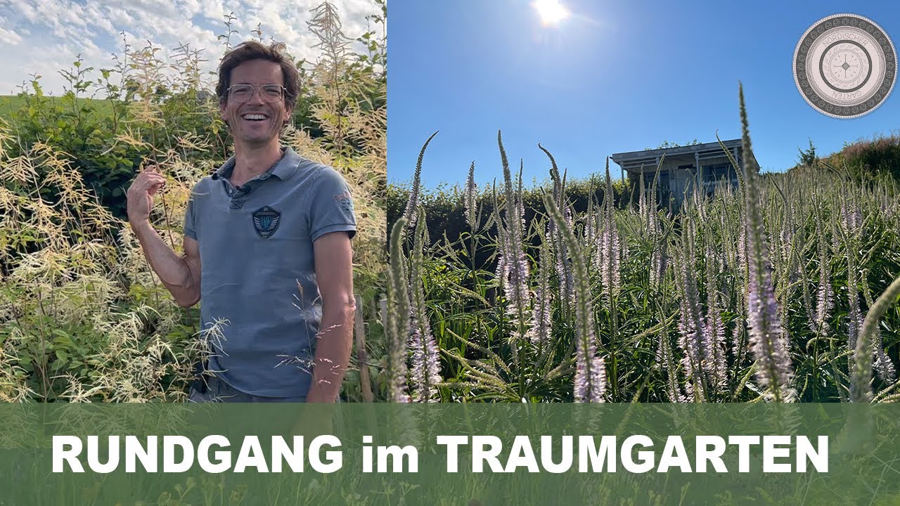 Gartenspaziergang im erstaunlichsten Naturparadies, ein Garten für Biene, Hummel und Schmetterling