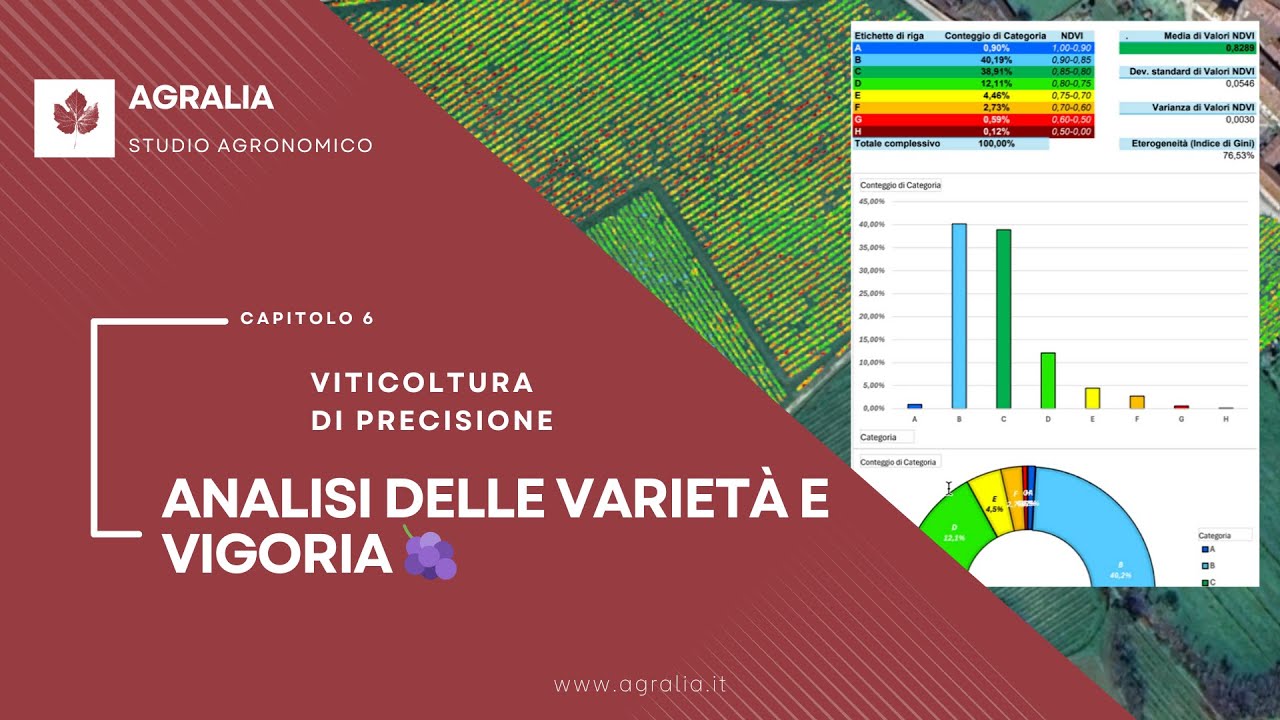 6. Viticoltura di Precisione: Analisi delle Varietà e Vigoria 🍇