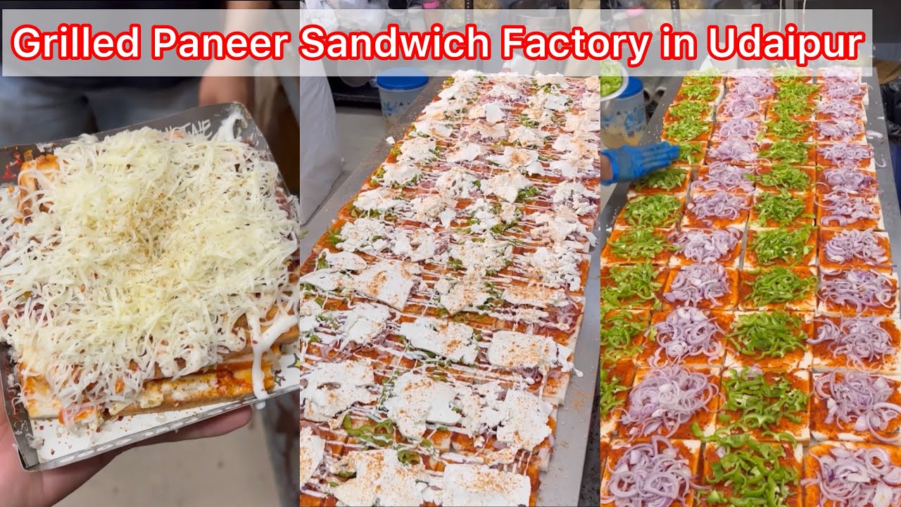 Grilled Paneer Sandwich Factory in Udaipur 🤩🤩 | Bulk making of Sandwiches in Mega Kitchen 😱😱