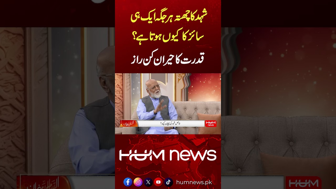 Nature&rsquo;s Engineering Miracle: Why Honeycombs Are Always Uniform | Salaam Ramzan | Hum News |Pakistan
