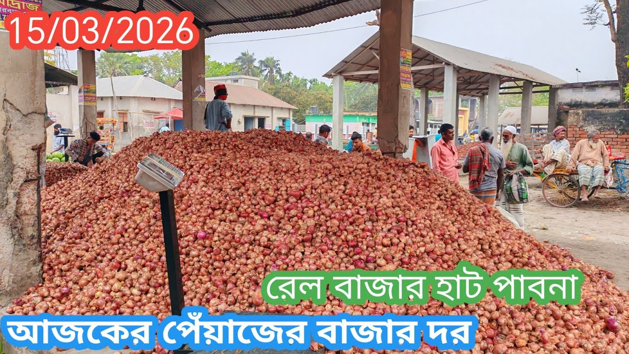 15 March 2026 আজকের পেঁয়াজের বাজার দর। Onion market price rate in pabna Bangladesh 