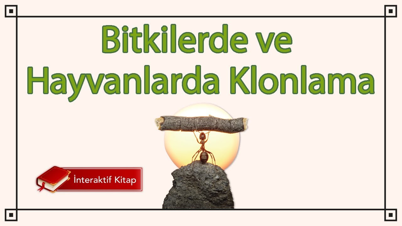 AYT Biyoloji | Bitki ve Hayvanlarda Klonlama GDO #sayfa148