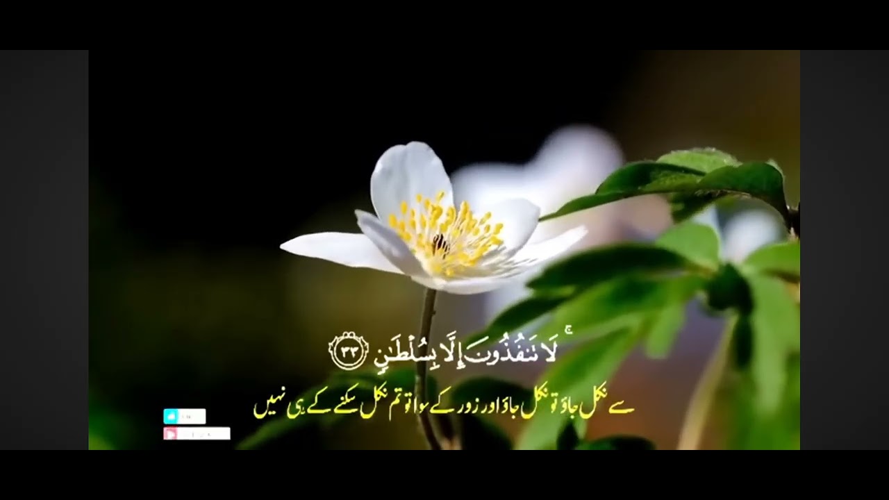 (Surah Al-Rahman) surah rahman... 💗💝💗