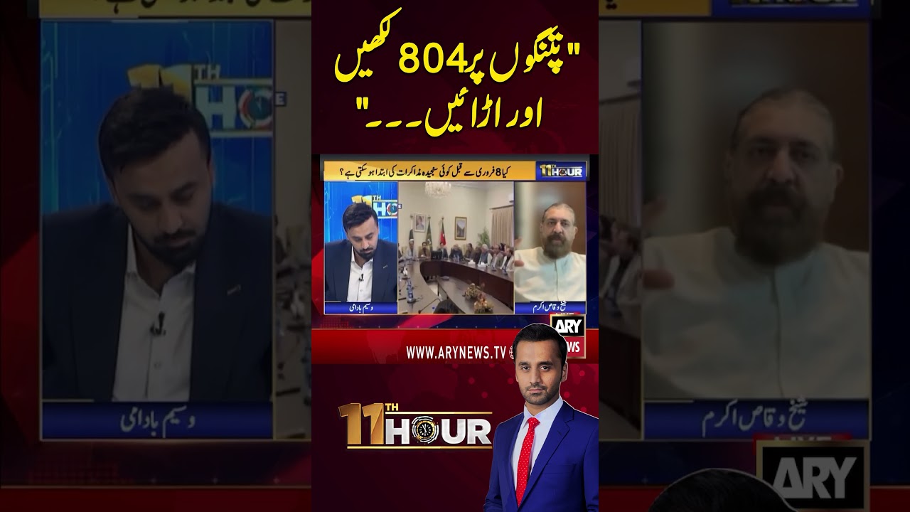#imrankhan #basant2026 #PTI #sheikhwaqasakram #protest #waseembadami