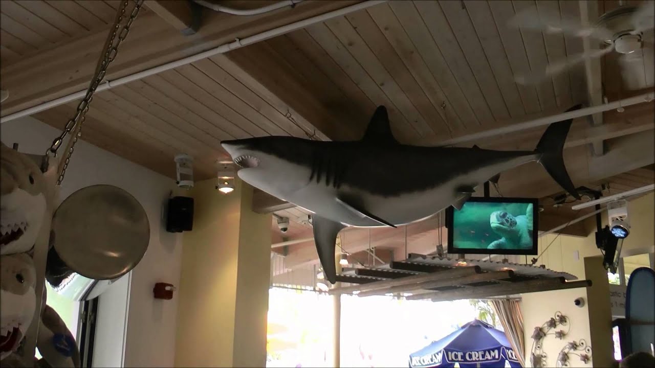 Shark Shack, SeaWorld San Diego