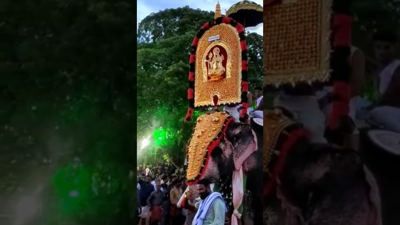 #pooram #elephant #2023