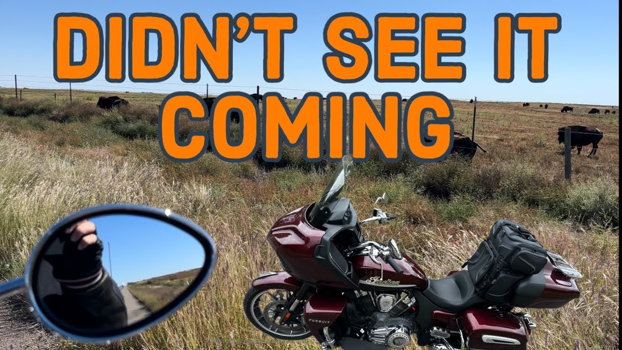 Bring it HOME 🫵🏻 #Indian Pursuit #Motovlog @AnywhereRider
