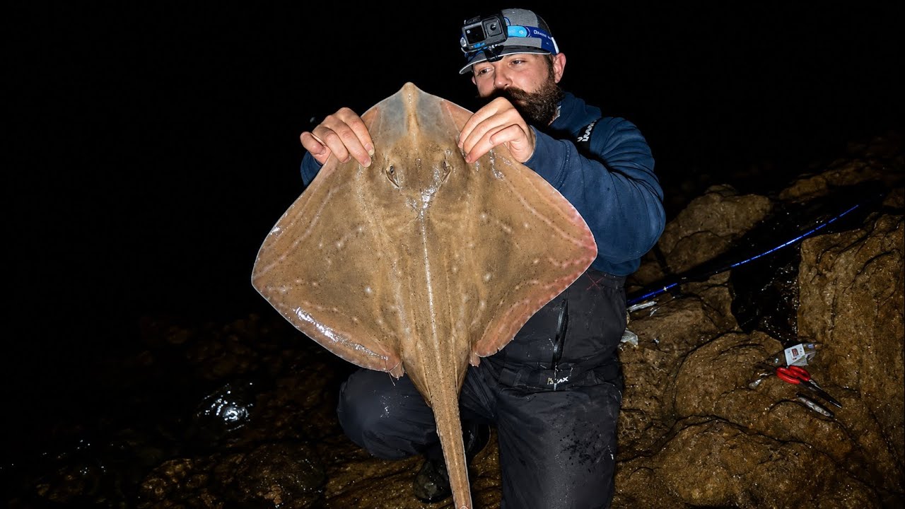 Beach Fishing At Night For Rays - Targeting Small Eyed Rays - Beach Fishing Uk - Sea Fishing Uk