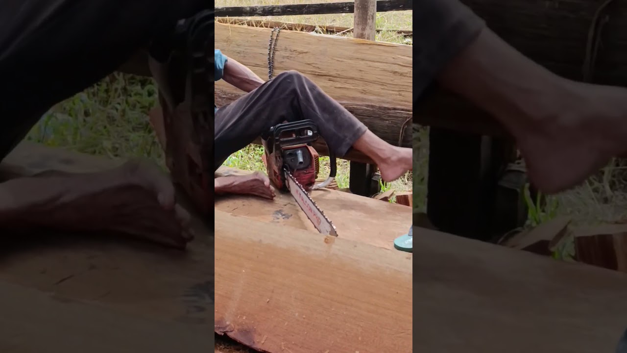 Mengasah Ketajaman Mesin Chainsaw 