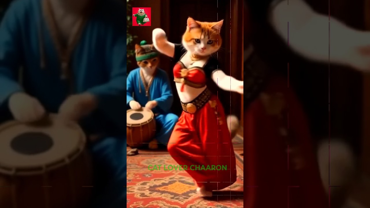 🥰😻 Viral Belly Dance Foreign Cat 💃 | Dancing Funny Cat #shorts #ytshorts #trending #viral #funny