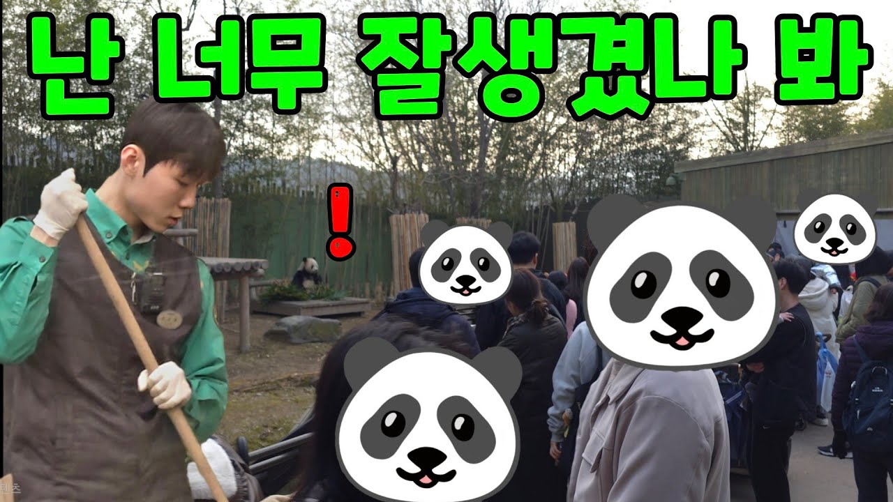 하늘 높은 줄 모르고 올라가는 인기 에버랜드 판다월드 2026년 3월 15일 