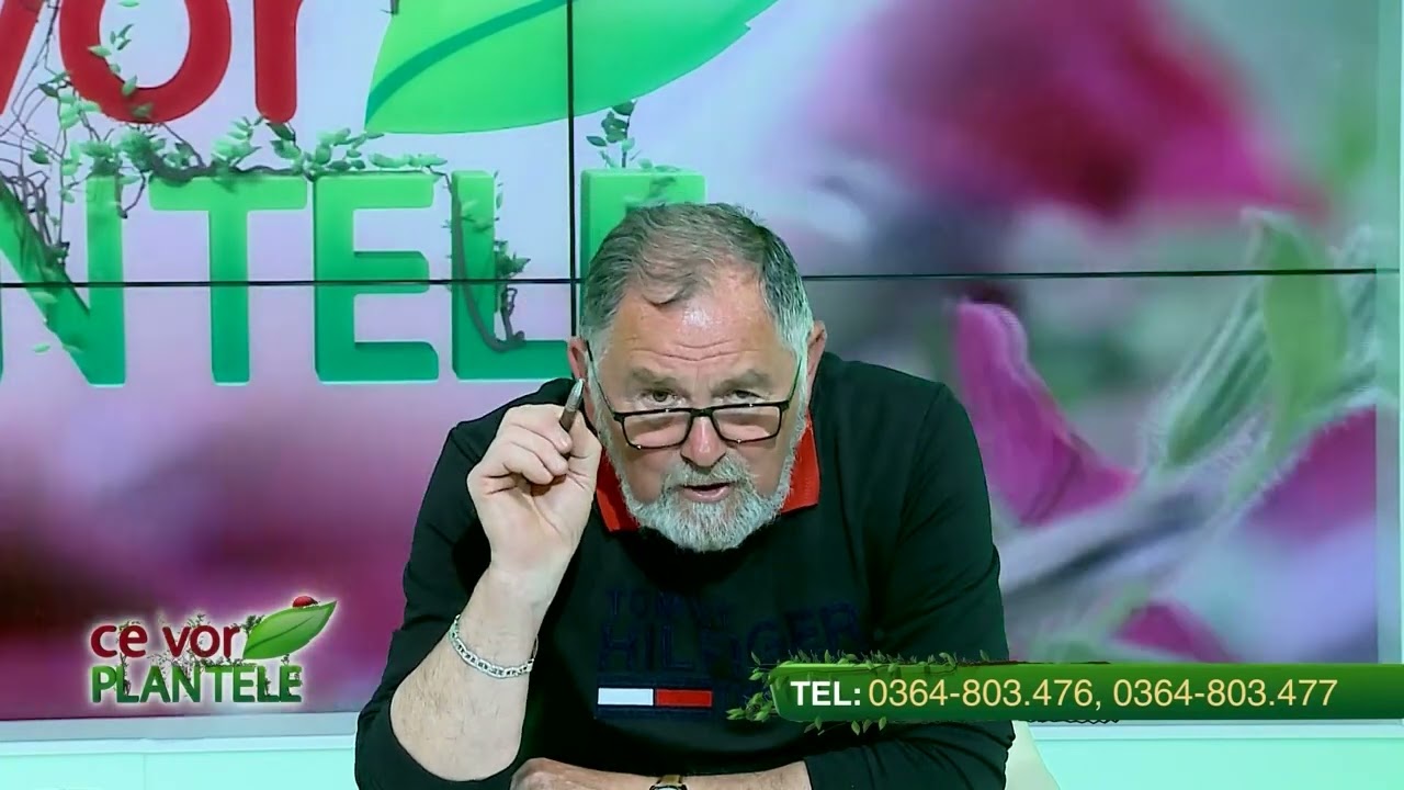 Recomandări pentru erbicidarea porumbului