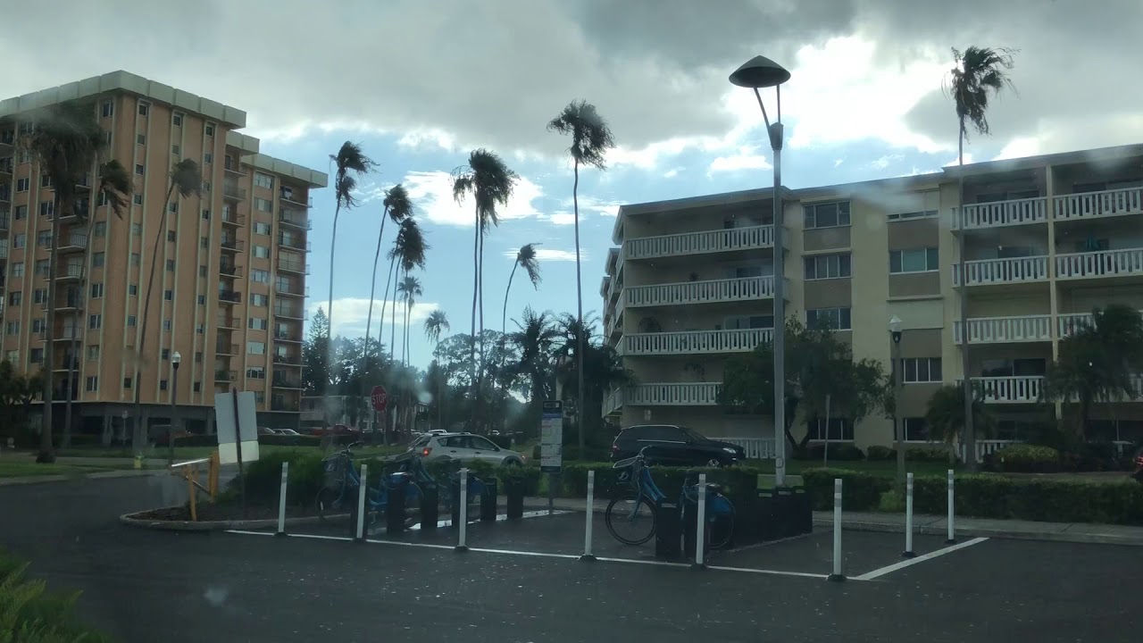 Microburst Severe Thunderstorm Hail Heavy Rain Palm Trees Windy Tampa Bay June 12 2018
