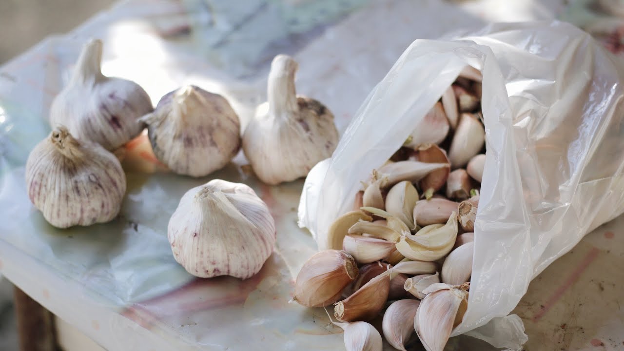 La semina dell'aglio! | My Farm Project