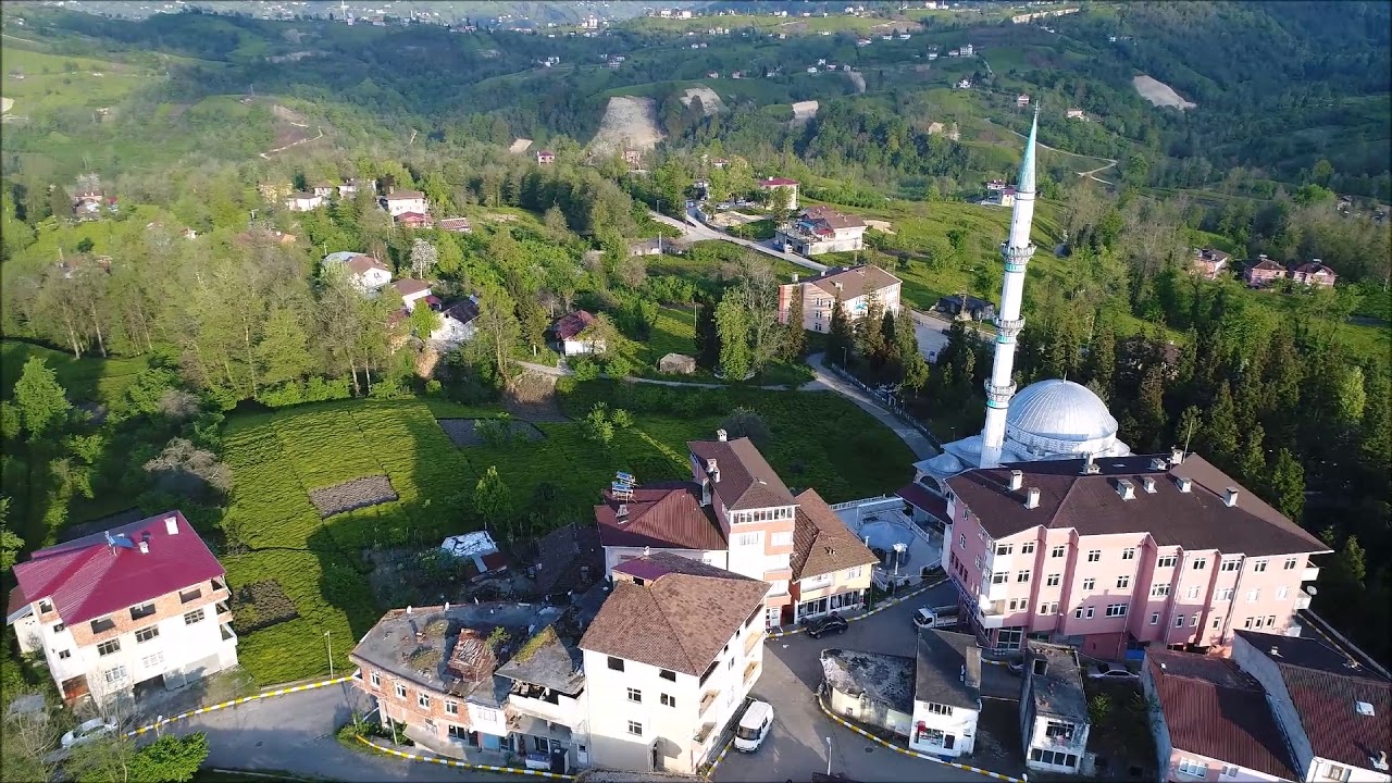 Kono/Gülderen
