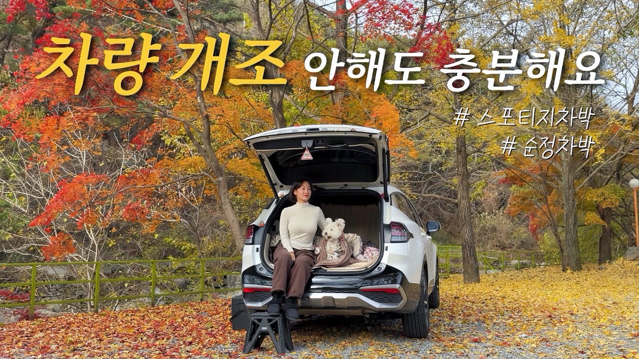 여자 혼자 스포티지 순정으로 즐기는 낭만차박🚗🍁 생미나리 삼겹살 | 애견동반 캠핑 | 공주계곡이레캠핑장 | 솔로차박 | 단풍차박 