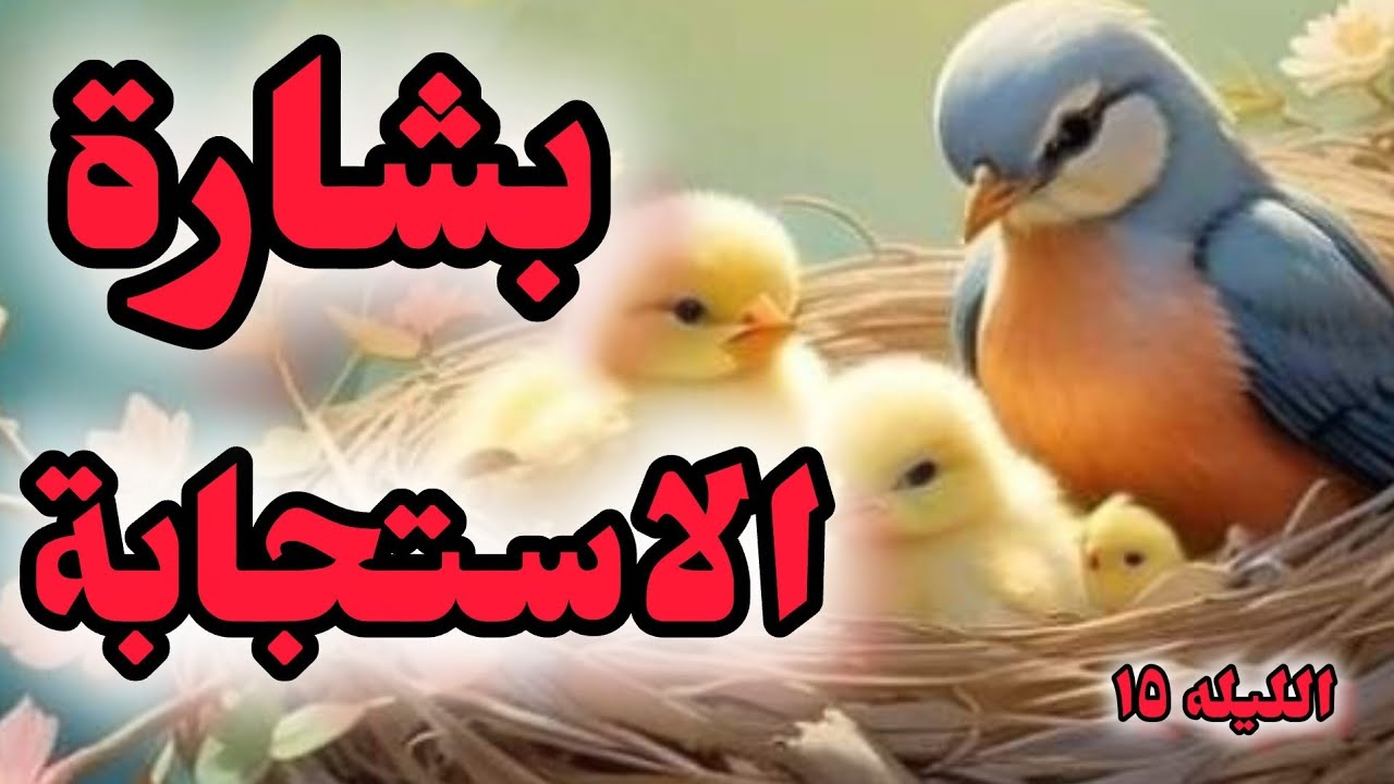 بشارة | دعوة في قلبك اقتربت استجابتها الليله ١٥
