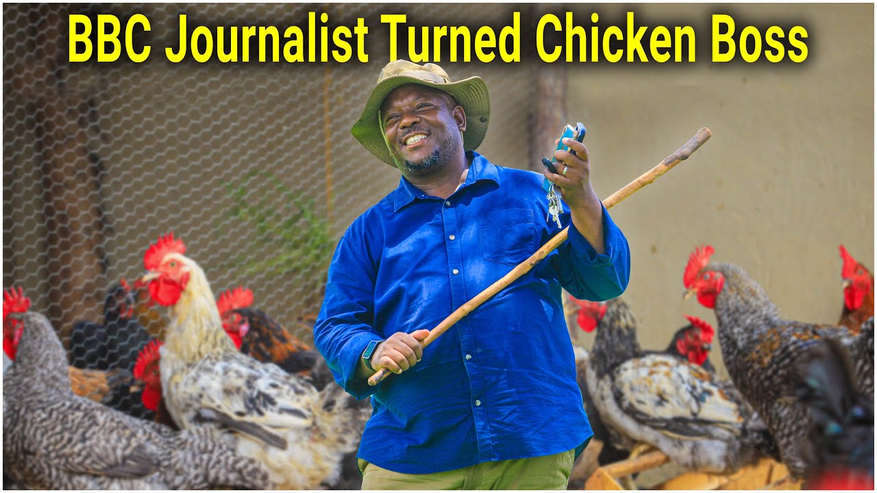 From Working as a BBC Journalist in the UK to Building a Thriving Poultry Business in Uganda
