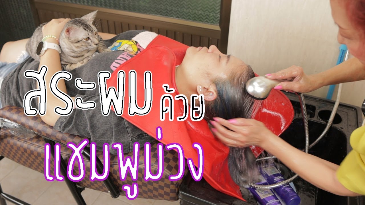 สระผม ด้วย แชมพูม่วง ล็อคสีผม แก้ผมเหลือง สำหรับ ผมทำสี
