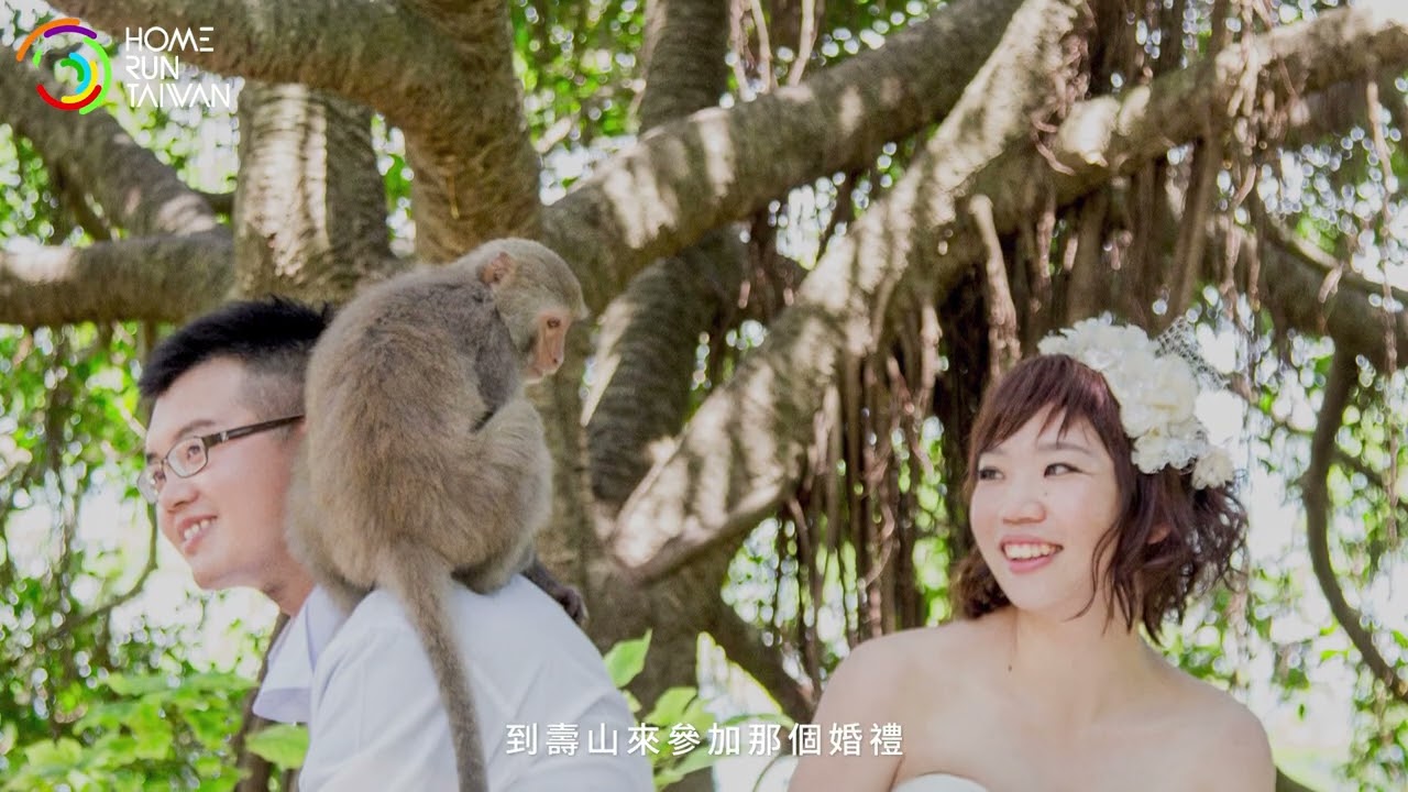 【 守護山林｜我的鄰居猴可愛🐒 】
