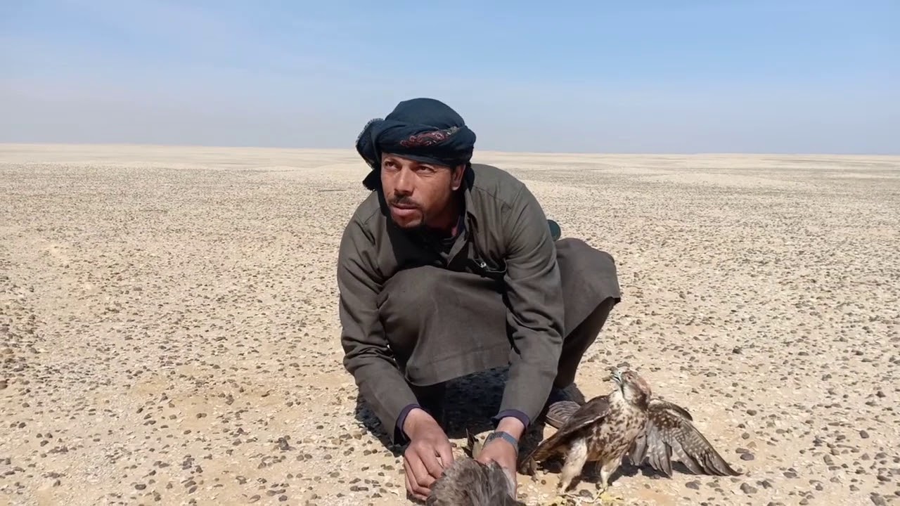 صيد 2020 جديد وطرح في النقل الوكري في الفريسه