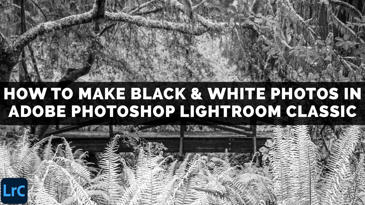 ЛУЧШИЙ способ сделать ЧЕРНО-БЕЛЫЕ ФОТОГРАФИИ в Adobe LIGHTROOM CLASSIC